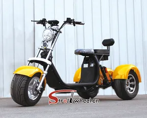 1500 Wát Tricyelectric Citycoco Scooter 3 Bánh Xe Điện Ba Bánh Đứng Scooter Lithium Electric Scooter