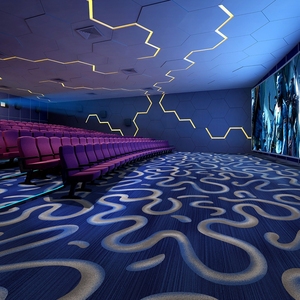 Nylon in Thảm rạp chiếu phim sang trọng axminster sàn thảm cuộn để bán New Zealand nhà máy sản xuất nặng thương mại Nhà hát thảm - Product Image 1