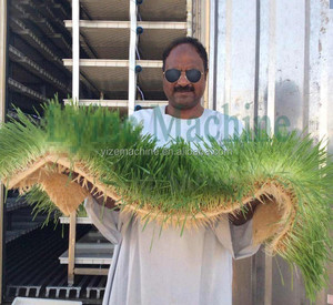 Máquina Hidropónica para Cultivo <span class=keywords><strong>de</strong></span> Forraje, Caja <span class=keywords><strong>de</strong></span> Cultivo para Alimento Animal, Máquina para Producción <span class=keywords><strong>de</strong></span> Forraje en Venta - Product Image 2