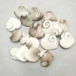 Wholesale natural shiva eye heart shaped sea shell crystal rocks stone for healing