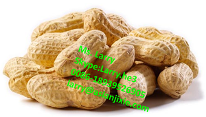 Máy Bóc Vỏ Đậu Phộng Tự Động/Máy Bóc Vỏ Arachide/Máy Bóc Vỏ Đậu Phộng - Product Image 5