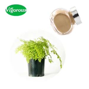 Extracto natural de helecho de maidenhair/extracto de adiantum <span class=keywords><strong>capillus</strong></span>-veneris/extracto de adiantum - Product Image 1