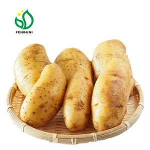 Produttori di patate all'ingrosso in cina/produttore