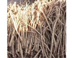 Alimentos tónicos y té sin aditivos, leche Natural de Mongolia, rebanadas de raíz de vetas - Product Image 6