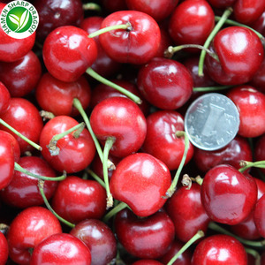 Trong Kho Nhanh Chóng Giao Hàng Sắc Nét Rồng Lqf Đông Lạnh Hữu Cơ Mật Ong Bóng Màu Đỏ Cherry Trái Cây 10Kg Carton Nhà Máy Số Lượng Lớn Bán Buôn - Product Image 3