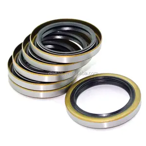 DLSEALS Custom Seal Low Price Iron Rubber Oil Seal National Size Chart PTFE Oil Seals