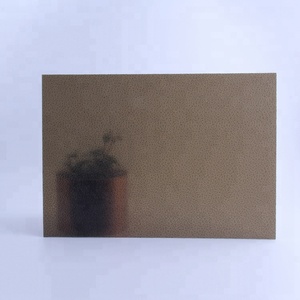 Strato solido in policarbonato goffrato materiale 100% <span class=keywords><strong>PC</strong></span> per partizione - Product Image 4
