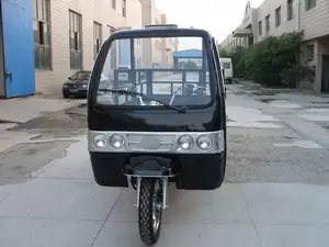 Petrol Three Wheel Cargo Tricycle With Cabin Motorized Driving Type 250cc For Sale