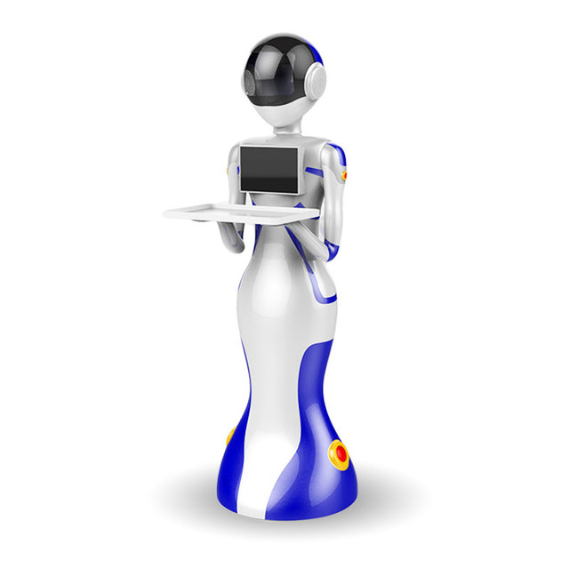 CE Certificated Intelligent Humanoid Waiter for Restaurant Food Delivery Robot