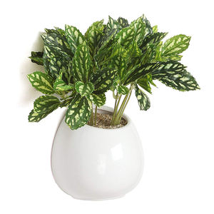 <span class=keywords><strong>Support</strong></span> <span class=keywords><strong>de</strong></span> vase à fleurs suspendu mural en céramique blanche Pots <span class=keywords><strong>de</strong></span> plantes CLASSIQUE moderne en <span class=keywords><strong>terre</strong></span> <span class=keywords><strong>cuite</strong></span> sculpté à la main ne supporte pas toutes les saisons - Product Image 2