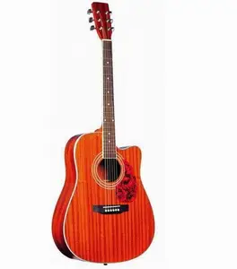 SNAG017 Takamine küresel akustik gitar 41"