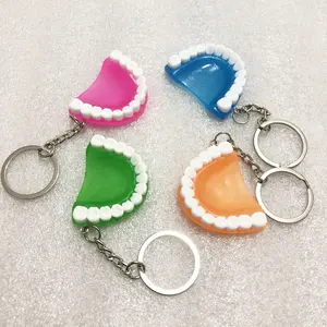 Different Colors Acrylic Custom Plastic Medical Tooth Shape Model Keychain Toy