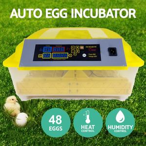 Nouvel incubateur à œufs <span class=keywords><strong>Janoel</strong></span> 48 œufs au Sénégal, incubateur de taille moyenne pour poulets, reptiles, dindes, pièces détachées fournies, vente au détail, MOTEUR - Product Image 5