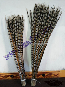 Bán Chạy Nhất Brazil Lông Màu Sắc Tự Nhiên Reeves Lông Đuôi Gà Lôi - Product Image 4