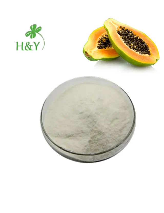 Natural Plant Digestive Enzyme Papain/Papaya Extract/ papain