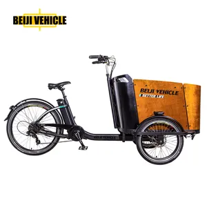 Bicicleta elétrica de carga familiar barata popular na Dinamarca com três rodas