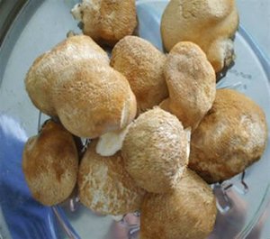 Органический экстракт гриба льва - Product Image 5
