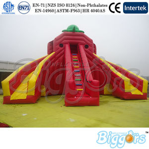 double slide <span class=keywords><strong>lane</strong></span> toboggan gonflable pour piscine - Product Image 1
