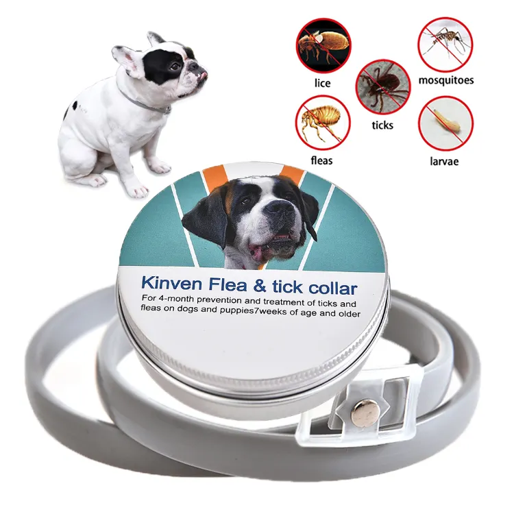 Dayang 8 Month Protection Safe For Pets Customize Supported Cat And Dog Flea And Tick Collar