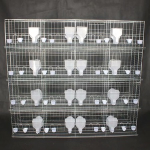 <span class=keywords><strong>Cage</strong></span> d'élevage de <span class=keywords><strong>Pigeon</strong></span> à double couche, <span class=keywords><strong>Cage</strong></span> pour élevage de pigeons, bon marché - Product Image 5