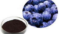 Puur Bosbessenextract Poeder 25% 95% Anthocyaan Natuurlijk Plantenextract