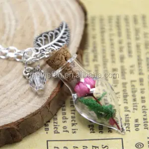 Fuchsia Bloem Mos Glazen Fles Ketting blad charme en crystal zilveren collier Fairy Tuin sieraden