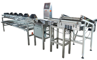 Op maat gemaakte tel- en sorteermachines voor gewicht JZW-6FX