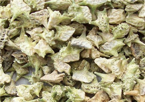 Producto de Salud Tribulus terrestris L. extracto de la infertilidad masculina mejora - Product Image 3