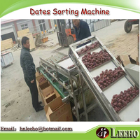 Data Sorteren Machine Met Hele Fruit Verwerking Machines