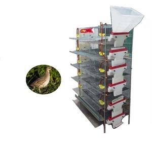 Cage automatique pour l'élevage <span class=keywords><strong>de</strong></span> 300 cailles - Product Image 1