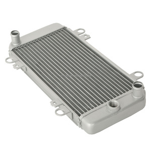 Enfriador de radiador de motocicleta TCMT apto para <span class=keywords><strong>Kawasaki</strong></span> <span class=keywords><strong>Ninja</strong></span> <span class=keywords><strong>250R</strong></span> EX250J 2008-<span class=keywords><strong>2012</strong></span> 2010 2011 <span class=keywords><strong>2012</strong></span> 2017 - Product Image 1