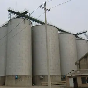 silos Professional manufacturer Taian Shelley Engineering 10000 ton grain silo grain steel silo