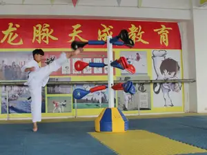 Karate Equipment Taekwondo Multifunction Strong Foot Target/kicking Target /taekwondo Target Pad Equipment For Taekwondo And Karate Training