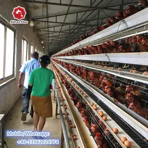 Cheap price battery cages laying hens automatic A frame chicken cage system