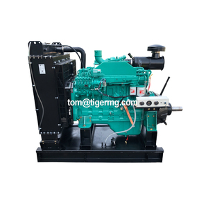 En Venta, Buen Precio, con Bomba de Agua, Motores Diésel Estacionarios de 20kw, 50kw, 163kw, 200kw, 500kw - Product Image 2