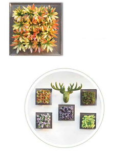 Decorativas al por mayor ciervos cabeza foto madera marco plantas suculentas Frames Set - Product Image 2