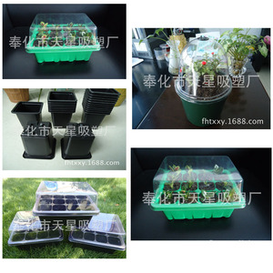 <span class=keywords><strong>2016</strong></span> de alta calidad de la manera tazón pequeño plantadores - Product Image 5