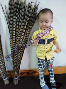 Bán Chạy Nhất Brazil Lông Màu Sắc Tự Nhiên Reeves Lông Đuôi Gà Lôi - Product Image 2