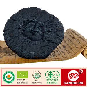 Kurutulmuş bütün <span class=keywords><strong>Ganoderma</strong></span> <span class=keywords><strong>Lucidum</strong></span> Sinense meyve vücut Lingzhi Kırmızı Reishi Mantar - Product Image 1