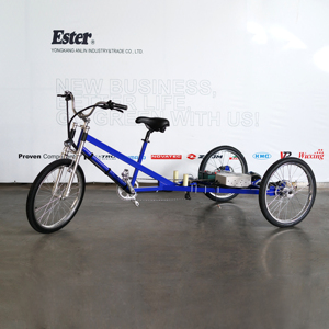 <span class=keywords><strong>ESTER</strong></span> triciclo plano eléctrico para carga con nuevas líneas en 2017, bicicleta eléctrica adultos - Product Image 1