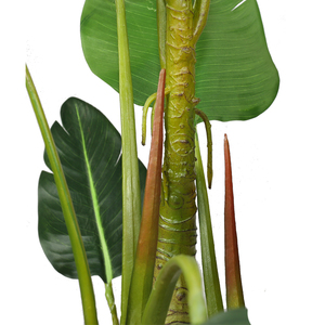 ต้นไม้เทียมกระถางต้นไม้พลาสติกสีเขียว,สไตล์นอร์ดิก - Product Image 3