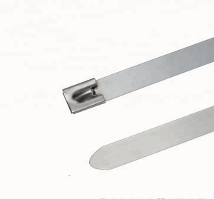 Cáp Tie S304 Tự Khóa Thép Không Gỉ Kim Loại Mỏng - Product Image 5