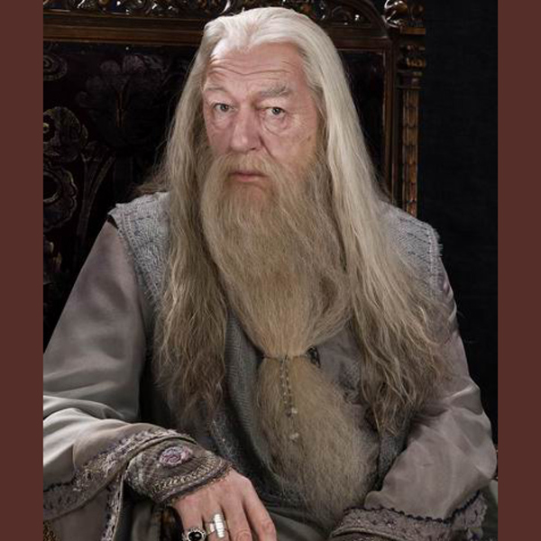 ヤクヘアウィザードグレーウィッグひげセットアルバス