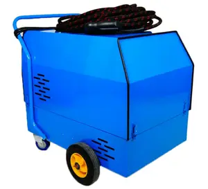 Auto car cleaning machine steam mobile portable diesel heating industrial steam cleaning machine