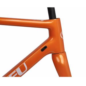 dengfu r02