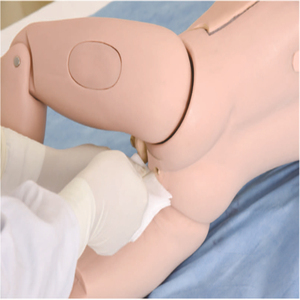 GD/H161 Generale Medico Bambino Clistere Simulatore di Formazione - Product Image 1