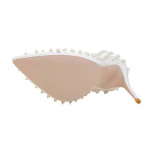 Custom Private Label <span class=keywords><strong>eleganti</strong></span> rivetti bianchi in pelle sintetica 10cm tacchi a spillo <span class=keywords><strong>scarpe</strong></span> da donna - Product Image 6