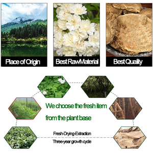 HONGDA Wholesale Costus <strong>Root</strong> <strong>Extract</strong> Costus <strong>Root</strong> Powder - Product Image 2