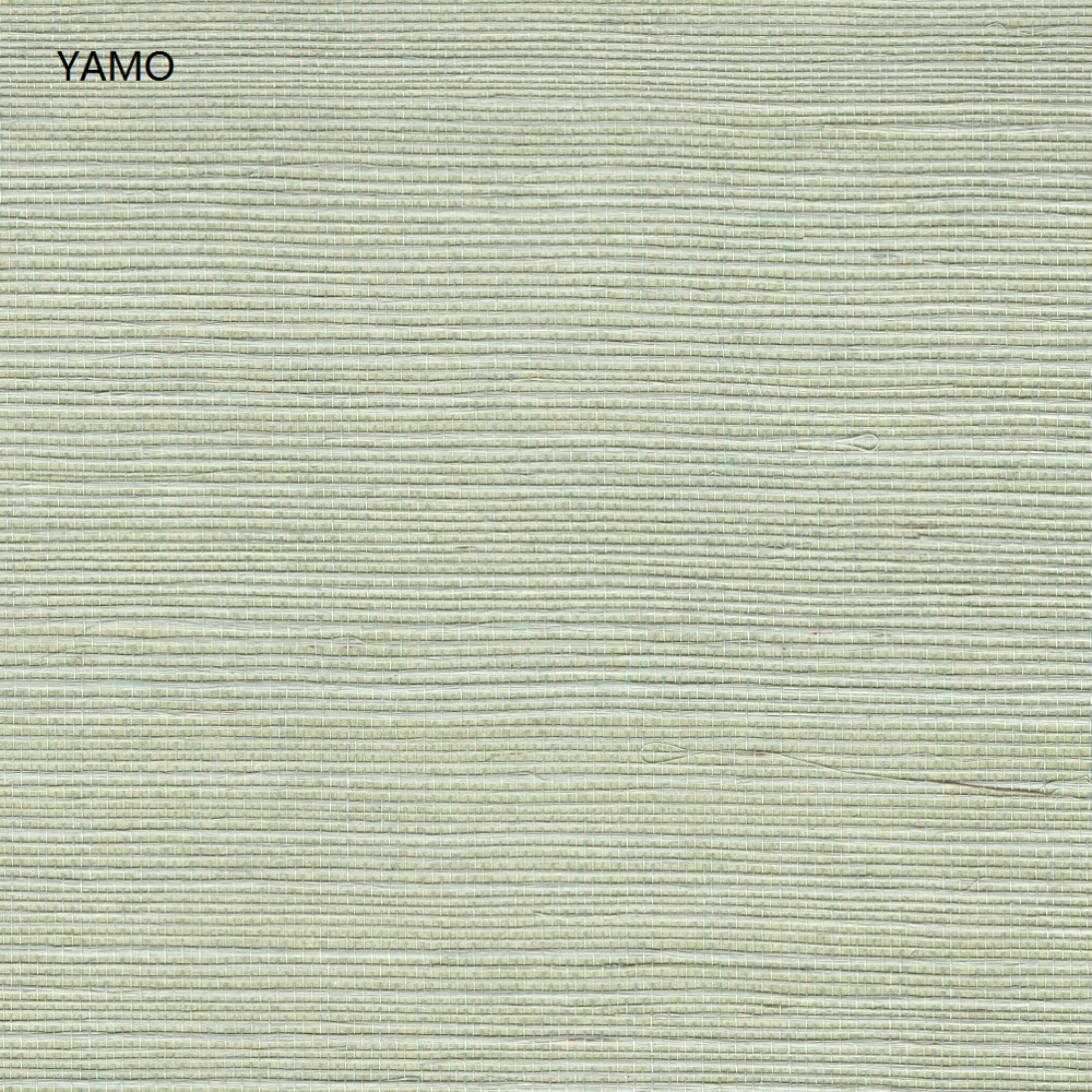 Y5-I01