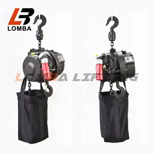 380V 60HZ 1 ton wireless remote lifter control stage electric chain hoist cheap price